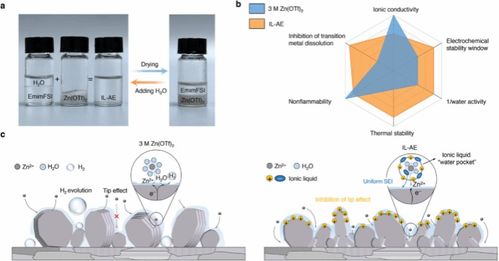 陈朝吉教授课题组在Chemical Reviews Advanced Materials等国际高水平期刊发表生物质基低碳功能材料及绿色储能材料系列研究成果